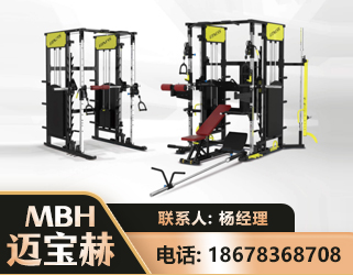 揭阳多功能综合训练器