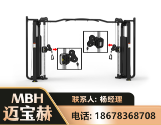 揭阳大飞鸟训练器