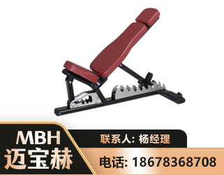揭阳可调哑铃椅
