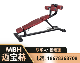 揭阳可调腹肌板